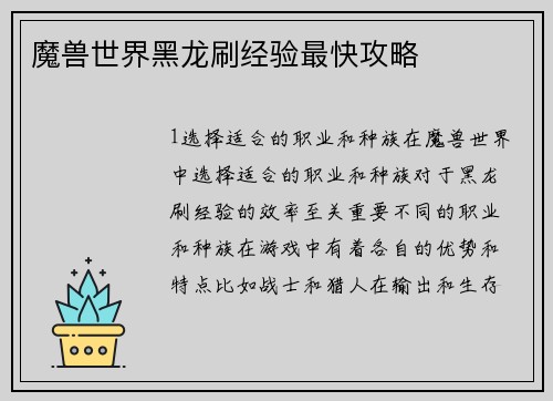 魔兽世界黑龙刷经验最快攻略