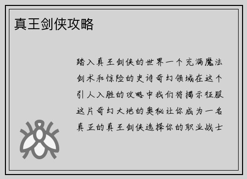 真王剑侠攻略